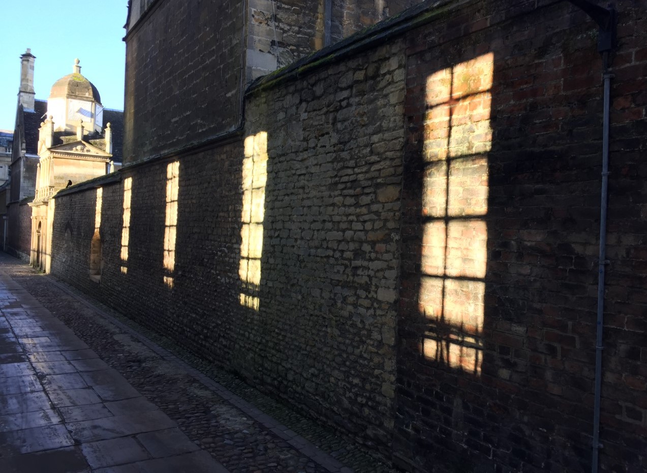 shadows in an alley