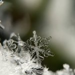 Snow Flakes