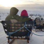 Arctic Highlights