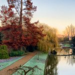 A winter's morning in Cambridge