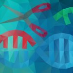 DNA Crispr technologies