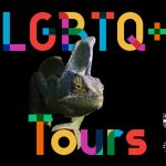 Dinosaur with LGBTQ+ in a rainbow