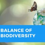 Balance of Biodiversity with a small globe and butterfly