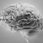 Brain with Cambridge Conversations Logo