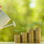 Stack of coins with little plants growing out of the top and a person watering them