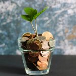 Money pot
