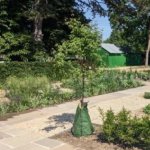 sensory garden