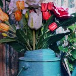 Guernsey Garden Party