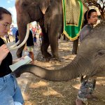 Alisa Santikarn interviewing an elephant