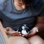Children holding a guinea pig