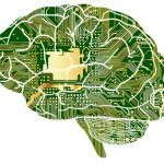 Graphic representing brain circuits