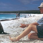 Tourist on the beach with Sea Lions