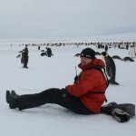 Observing the emperor penguins