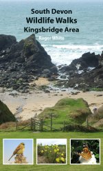 Front cover showing a rocky coastline, two birds, and some flora. 