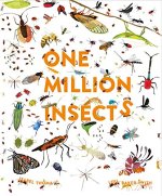 One Million Insects cover