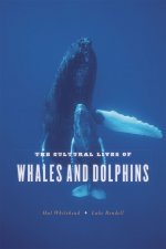 Cover of The Cultural Lives of Whales and Dolphins