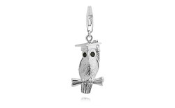 Detail of owl charm