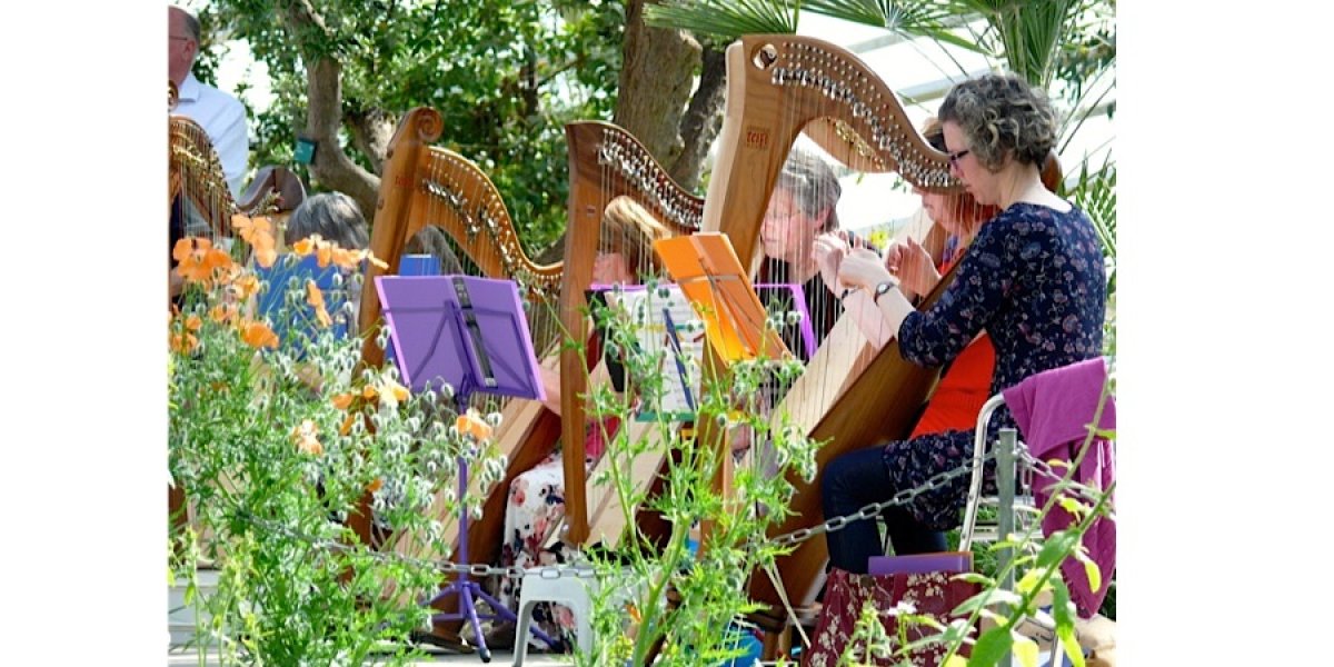 Harpists in Botanical Garden of Wales 