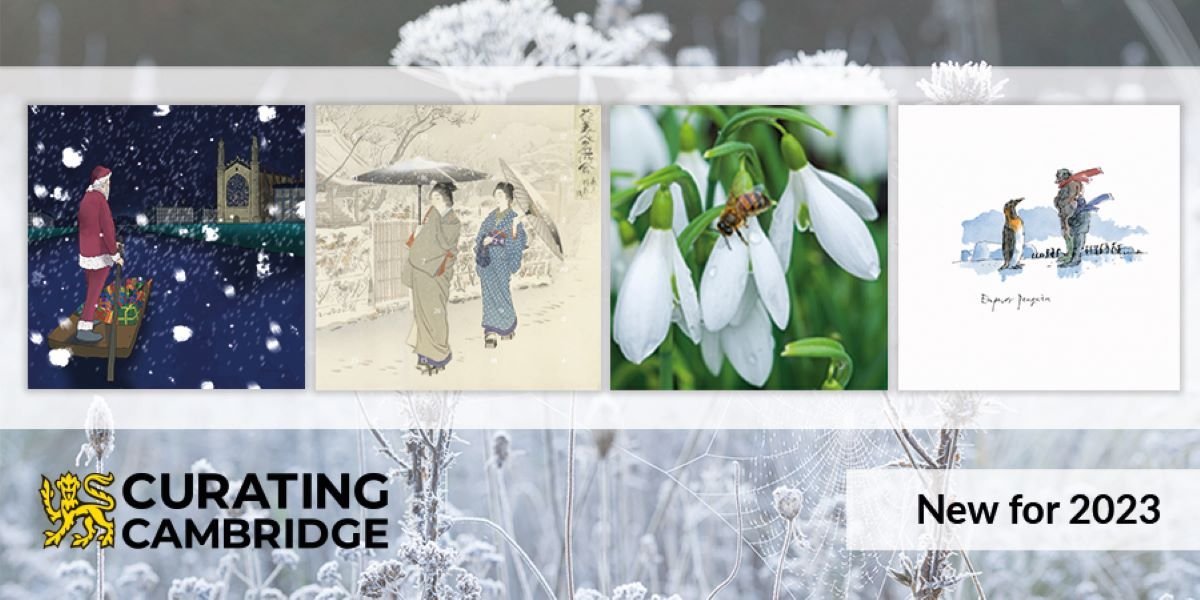 Curating Cambridge Christmas Collection