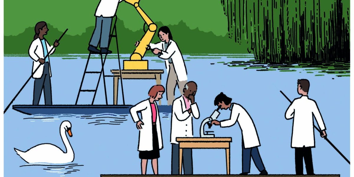 Science on punts