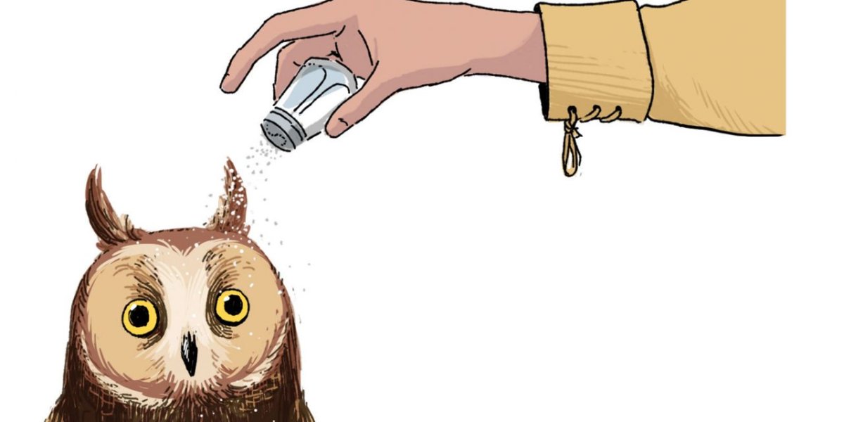 Salting an owl