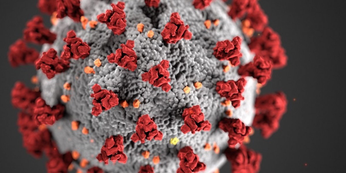 Coronavirus cell closeup