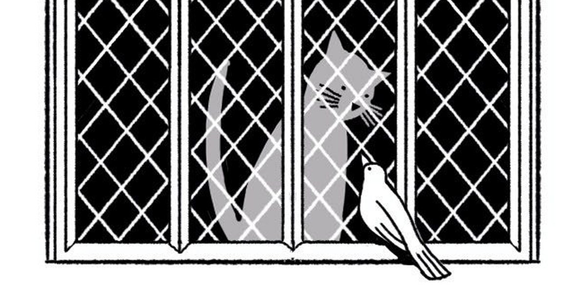 Illustration of a cat looking at bird out of a window