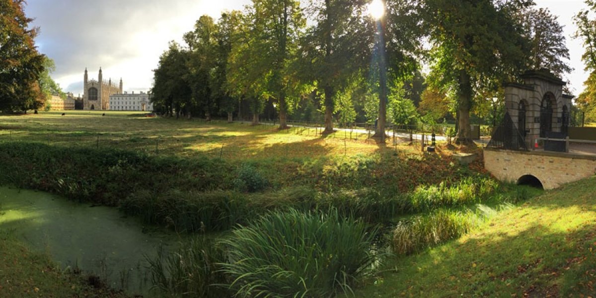 Backs of Cambridge