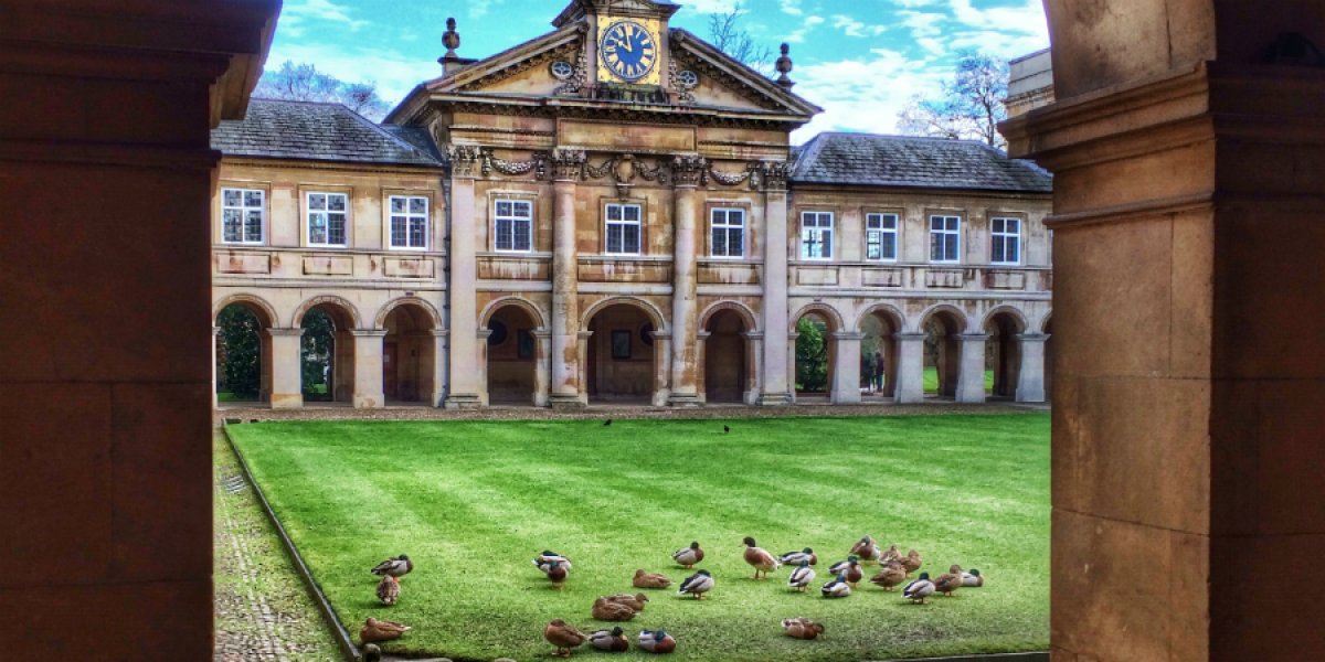 Ducks at Emmanuel College by Sir Cam