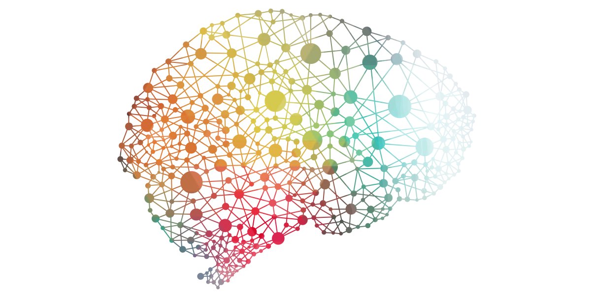Nerve centre brain image