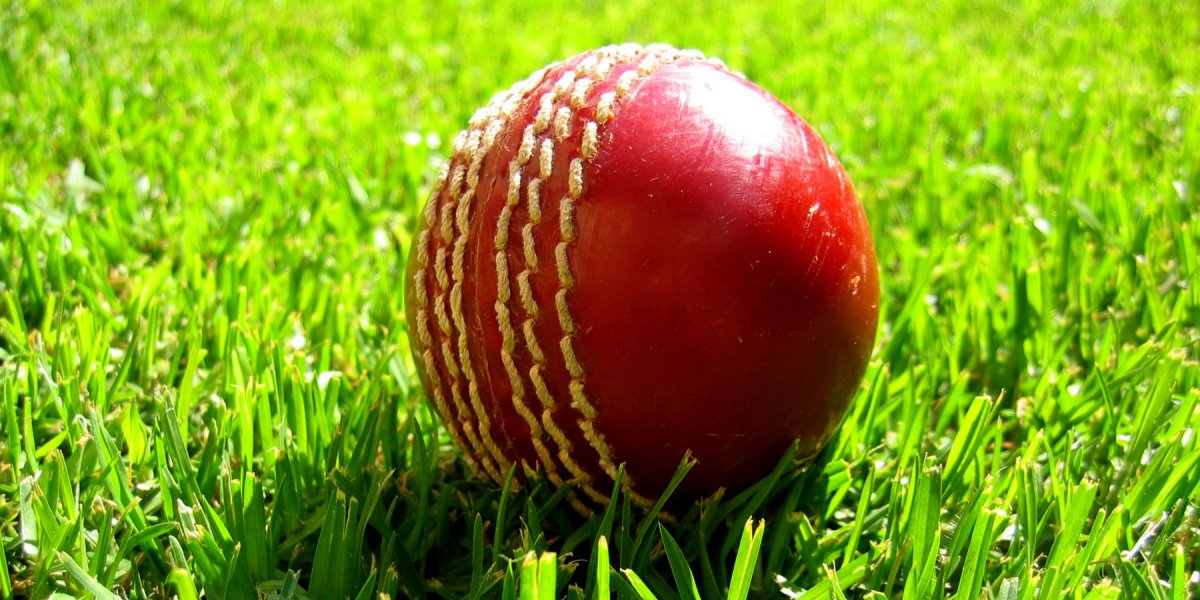 Cricket ball on grass