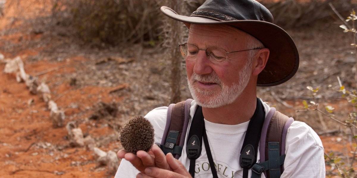 Professor Nick Davies