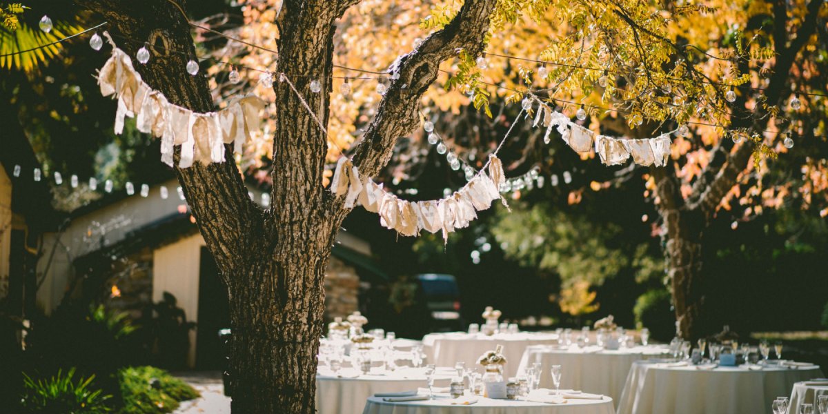 Bunting in garden