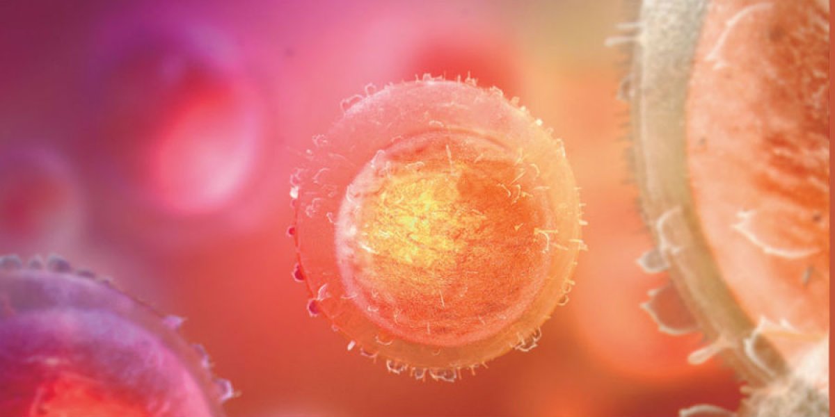Cancer cells