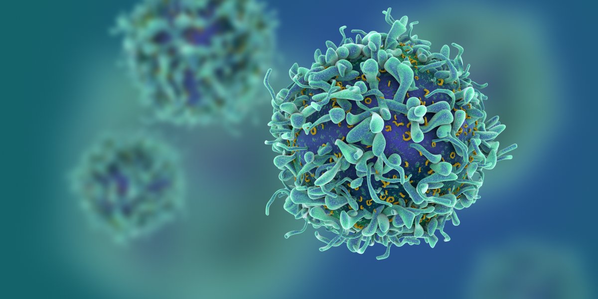 Cancer Cells