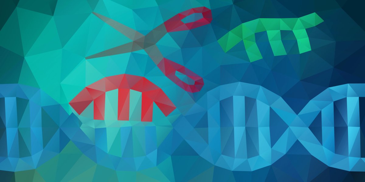 DNA Crispr technologies