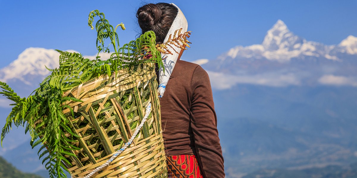 Woman looking over the Himalayas