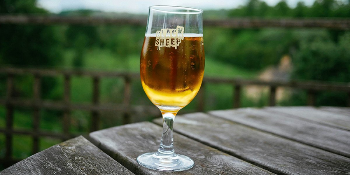 Image of a pint of Black Sheep beer