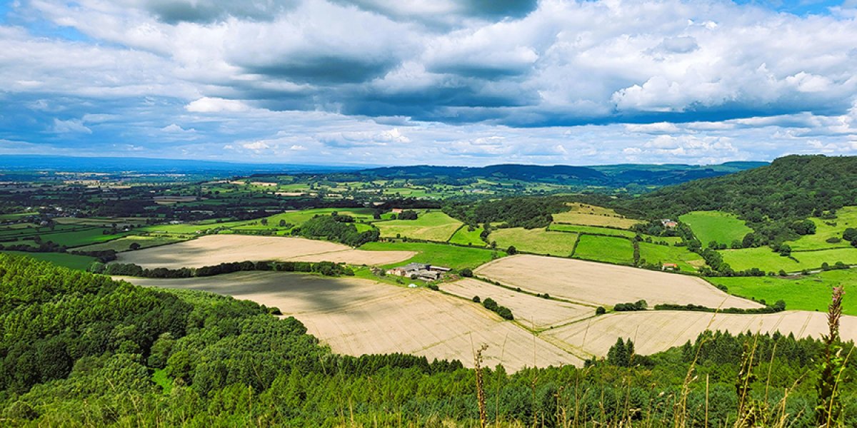 Image of a view down onto farm near Sutton Bank, North Yorkshire.