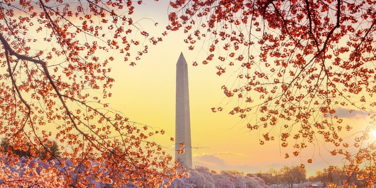 photo of washington dc