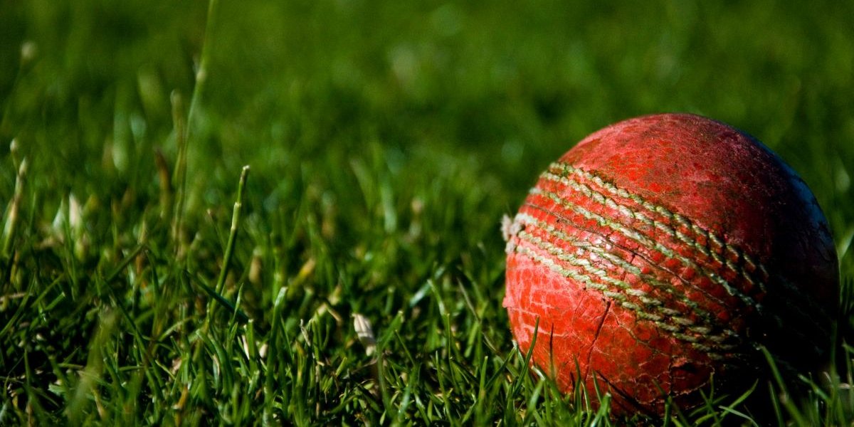 Cricket ball sits on grass