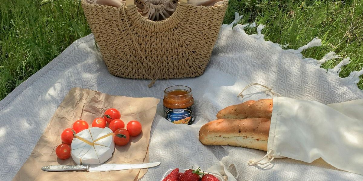 Picnic blanket with cheese, bread and strawberries