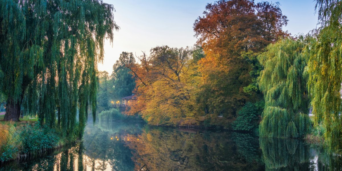 River in the Netherlands