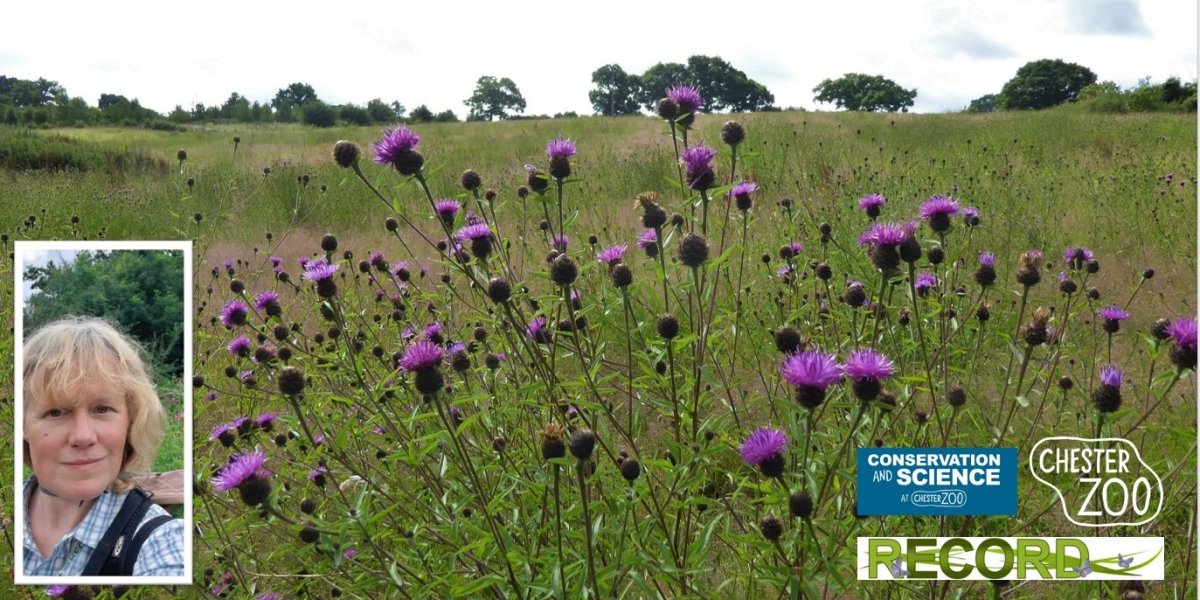 Image of Chester Zoo Nature Reserve