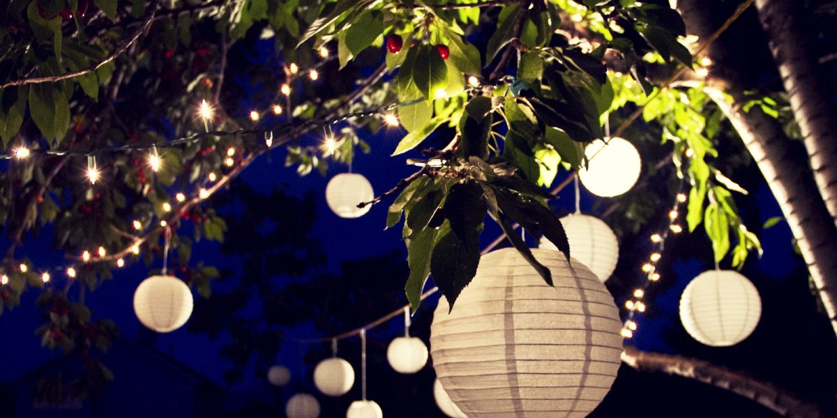 Lights hanging down from trees at night