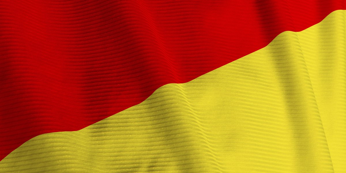 The German flag