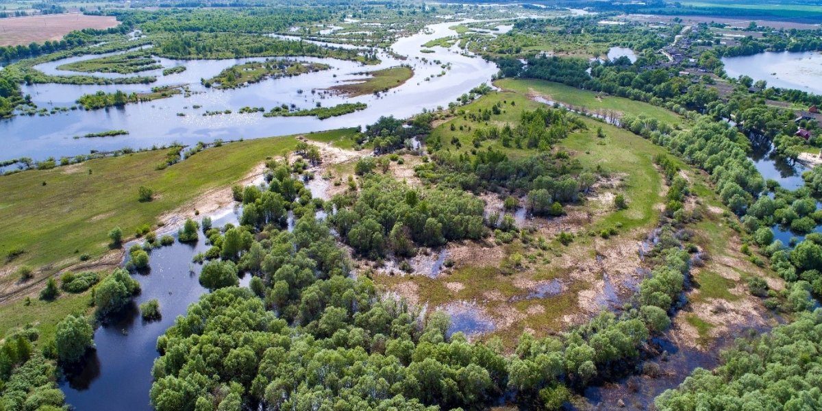 aerial shot of fields and a river