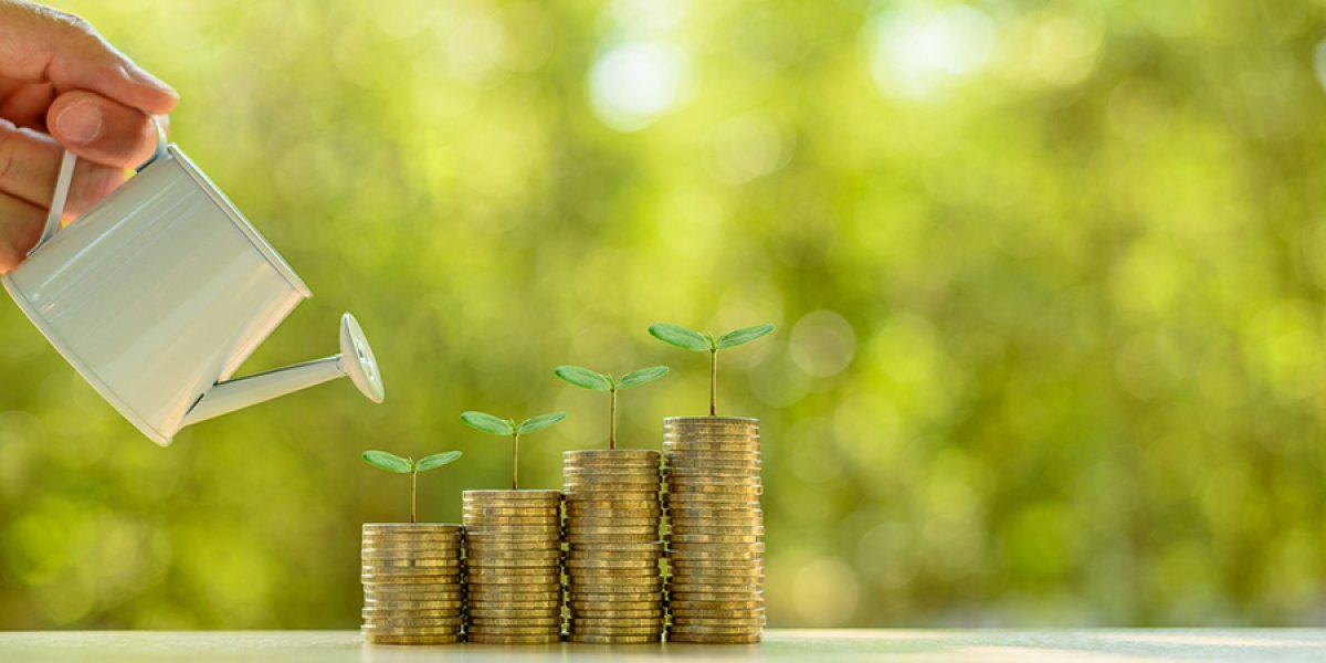 Stack of coins with little plants growing out of the top and a person watering them