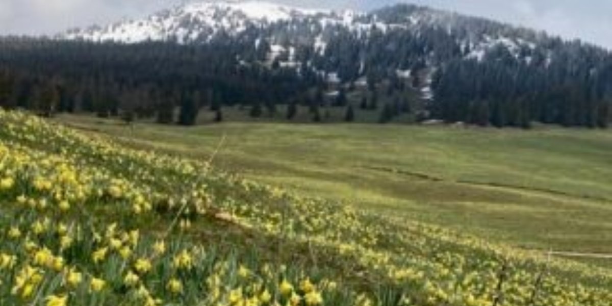 jura image