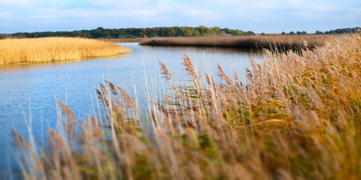 Suffolk